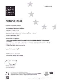  ISO 14001:2015